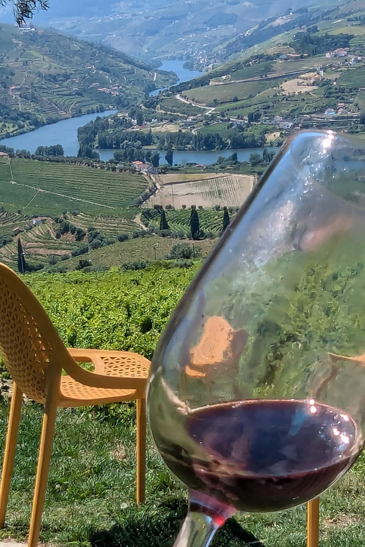 From Porto: 2 Wine Regions, Private Boat & Chefs Lunch - Itinerary and Activities