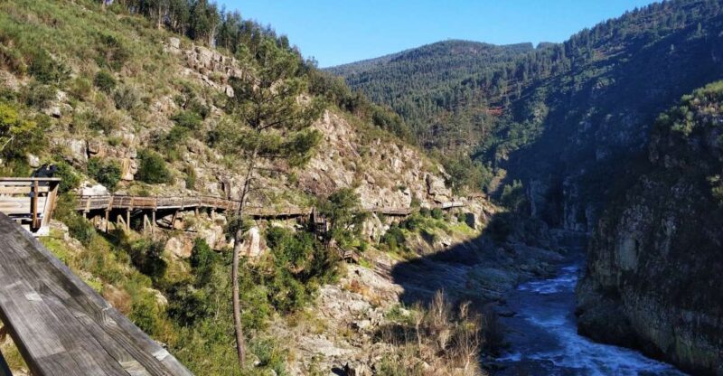 From Porto: Arouca 516 and Paiva Walkways Guided Day Trip - Activities and Highlights