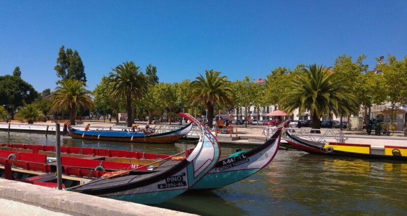 From Porto: Aveiro & Coimbra Private Day Tour & Boat Cruise - Activities and Highlights