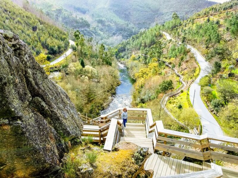 From Porto: Aveiro, Paiva Walkways and Arouca 516 Footbridge - Meal Options