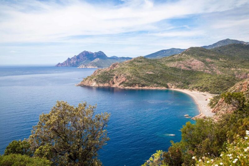 From Porto: Calanche De Piana Boat Tour - Marine Life and Seabirds Spotting