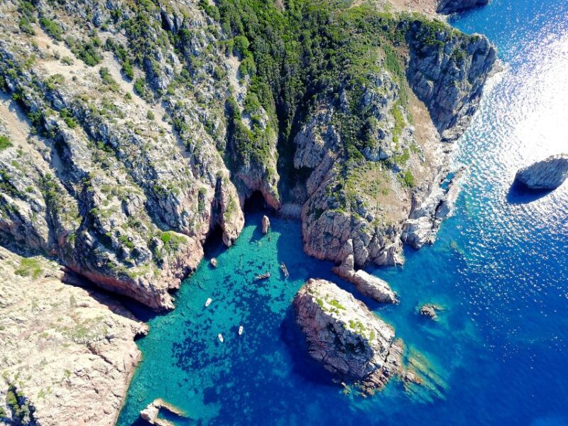 From Porto, Corsica: Piana Creeks Cruise - Observing Native Sea Life