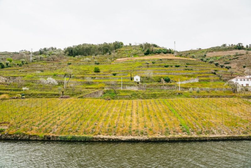 From Porto: Douro River Cruise to Régua With Lunch - Inclusions and Amenities