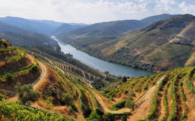 From Porto: Douro Tour - Pinhão/Regua for 1 Day - Key Points