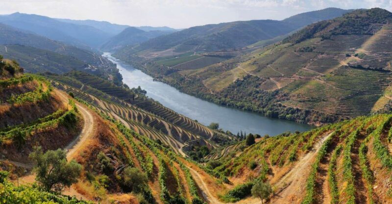 From Porto: Douro Tour - Pinhão/Regua for 1 Day - Customer Reviews