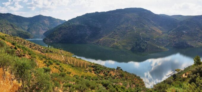 From Porto: Douro Tour - Pinhão/Regua for 1 Day - Pricing and Cancellation