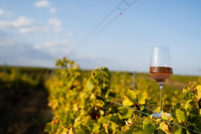 From Porto: Douro Tour - Pinhão/Regua for 1 Day - Tour Duration