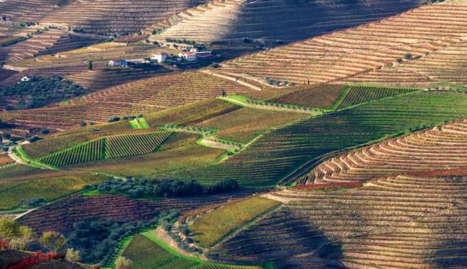 From Porto: Douro Tour - Pinhão/Regua for 1 Day - Frequently Asked Questions