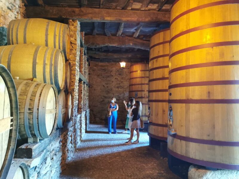 From Porto: Douro Valley Private Tour With Lunch and Wine - Wine Tastings