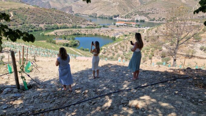 From Porto Douro Valley Tour With Train and Vinho Verde - Participant Suitability