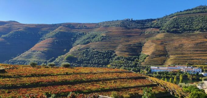 From Porto Douro Valley Tour With Train and Vinho Verde - Tour Booking