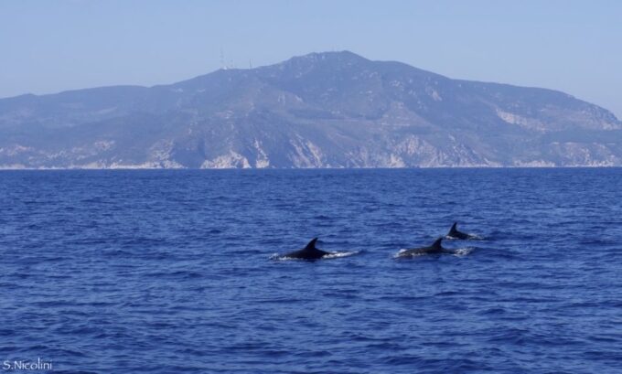 From Porto Ercole: Giannutri Island Snorkeling Boat Trip - Meeting and Pickup Details
