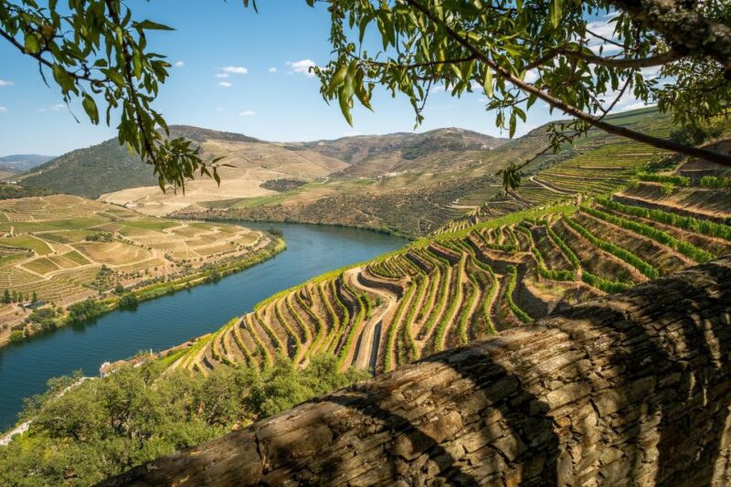 From Porto: Exclusive Douro Valley All-Inclusive Tour - Winery Visits and Tastings