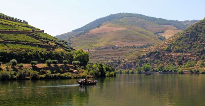 From Porto: Exclusive Douro Valley All-Inclusive Tour - Douro River Cruise
