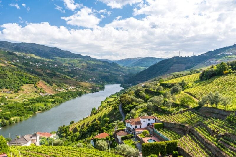 From Porto: Full-Day Douro Historical Tour - Key Points