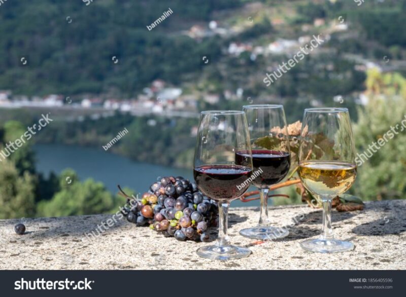 From Porto: Full-Day Douro Historical Tour - Experience and Activities