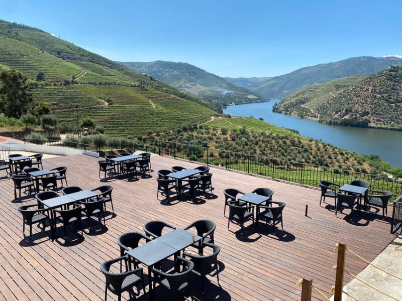 From Porto: Full-Day Douro Valley & Wine Tour With Lunch - Key Points