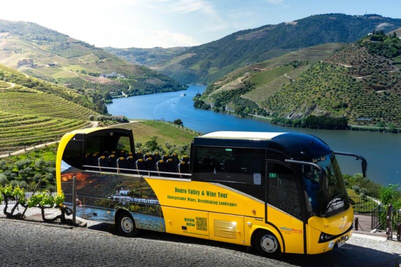 From Porto: Full-Day Douro Valley & Wine Tour With Lunch - Participant Information