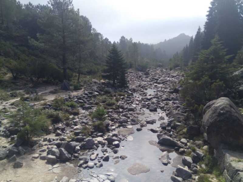From Porto: Guided Hike to Gerês Park - Suitability and Recommendations