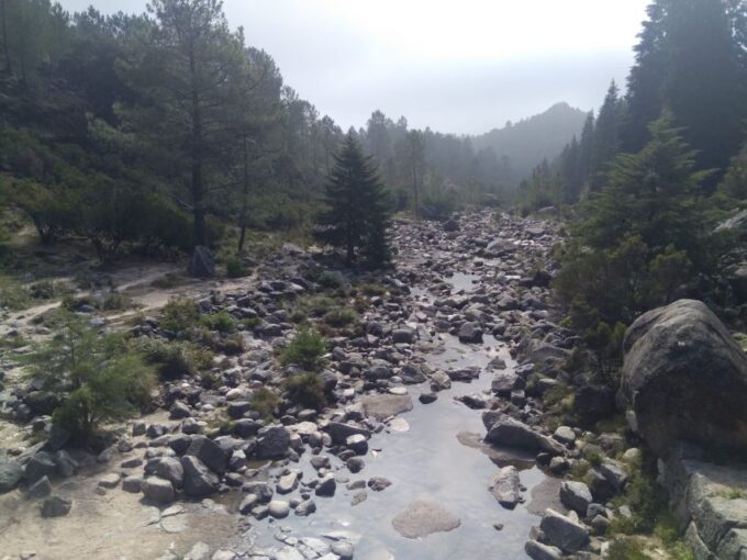 From Porto: Guided Hike to Gerês Park - Inclusions and Exclusions