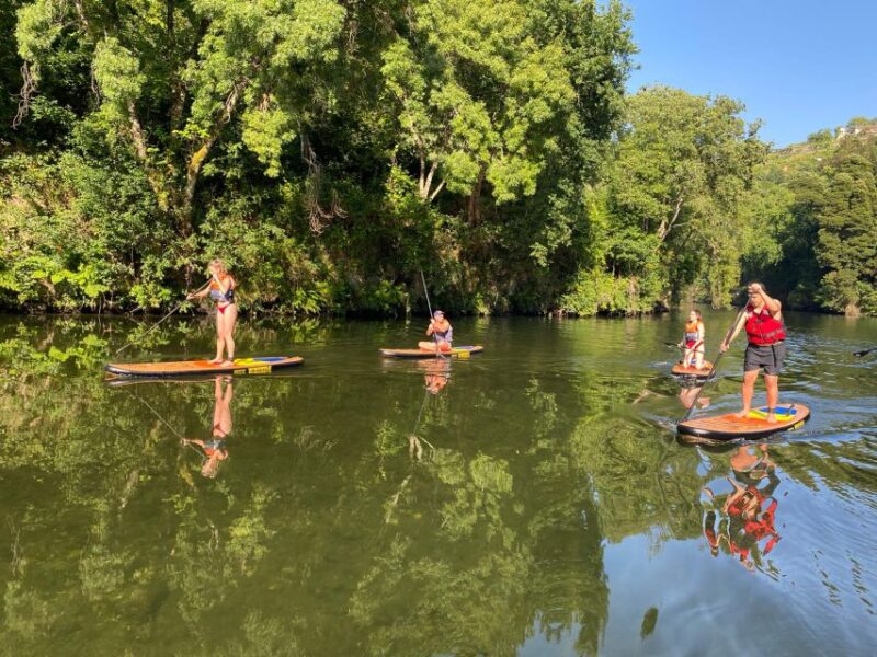 From Porto: Guided Paddleboard Tour in Gerês National Park - Key Points
