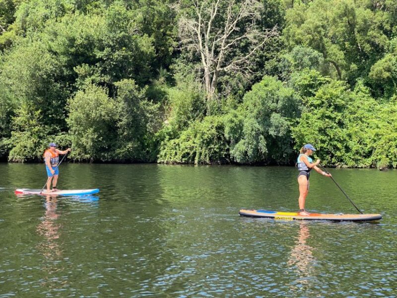 From Porto: Guided Paddleboard Tour in Gerês National Park - Itinerary Details