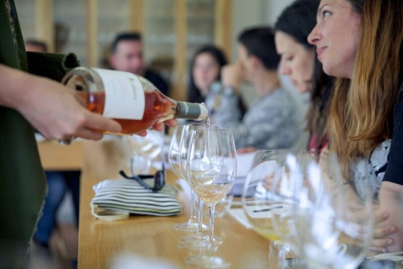 From Porto: Monção Wineries Tour With Wine Tastings - Itinerary Highlights