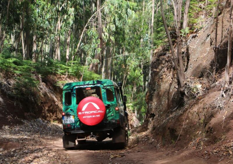 From Porto Moniz: Fanal 4x4 Tour - Key Points