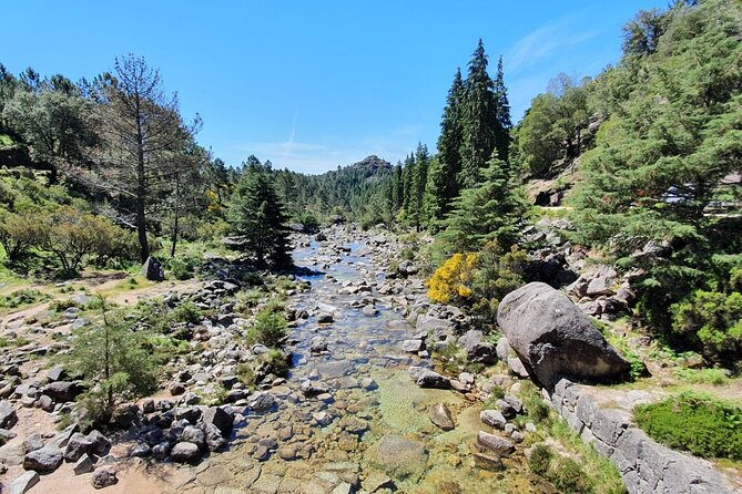From Porto: Peneda-Gerês National Park Full Day Tour - Scenic Boat Ride
