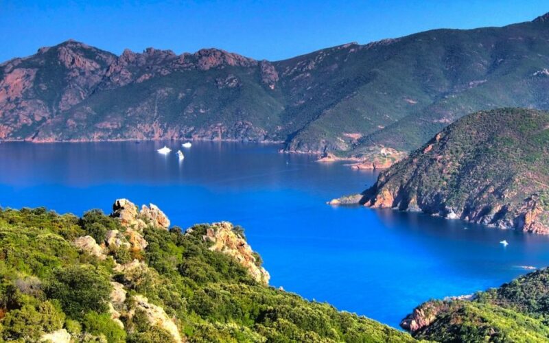 From Porto: Piana Creeks and Scandola Semi-Rigid Boat Tour - Boat and Vessels