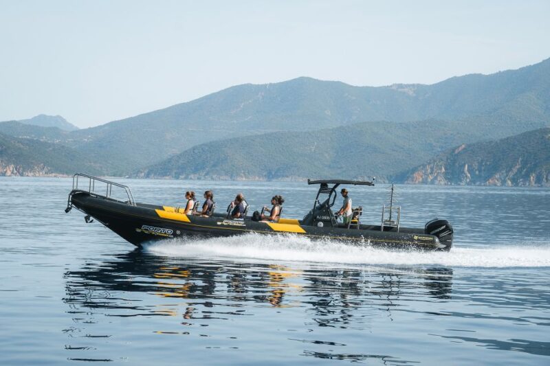 From Porto: Piana Creeks and Scandola Semi-Rigid Boat Tour - Swimming and Snorkeling