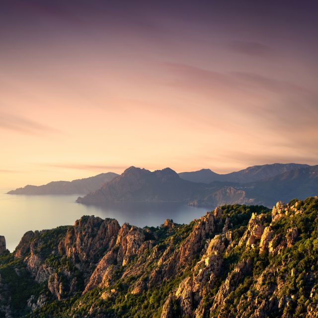 From Porto: Piana Creeks and Scandola Semi-Rigid Boat Tour - Guided Tour Details