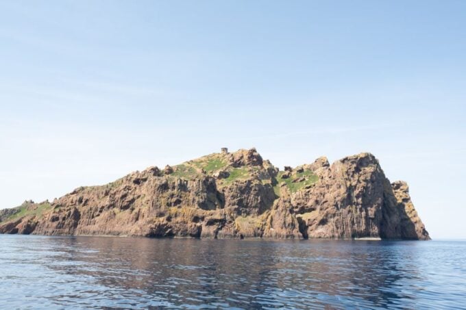 From Porto: Piana Creeks and Scandola Semi-Rigid Boat Tour - Frequently Asked Questions