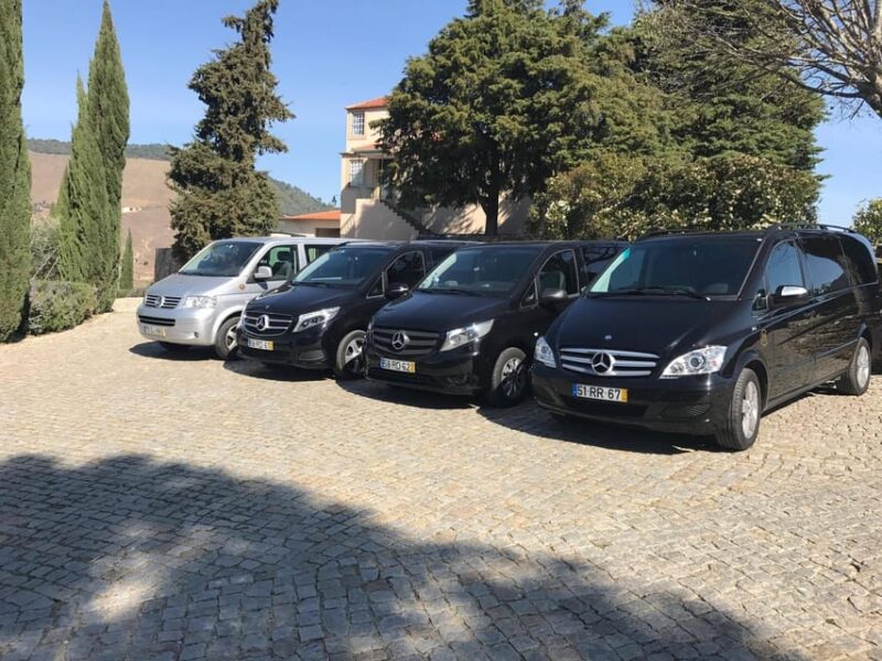 From Porto: Premium Douro Valley Small-Group Wine Tour - Important Information