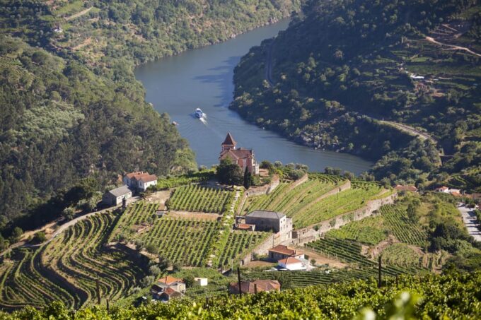 From Porto: Premium Douro Valley Small-Group Wine Tour - Exclusive Small-Group Exploration