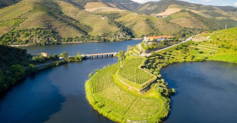 From Porto: Private Douro Valley Tour With Booking Service - Included Activities