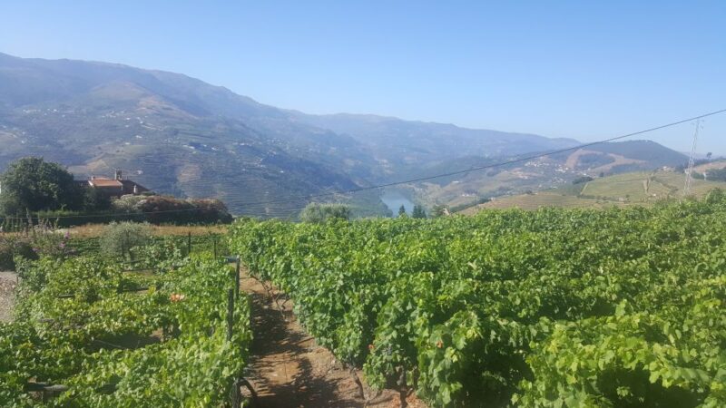 From Porto: Private Douro Valley Tour With Booking Service - Scenic Route