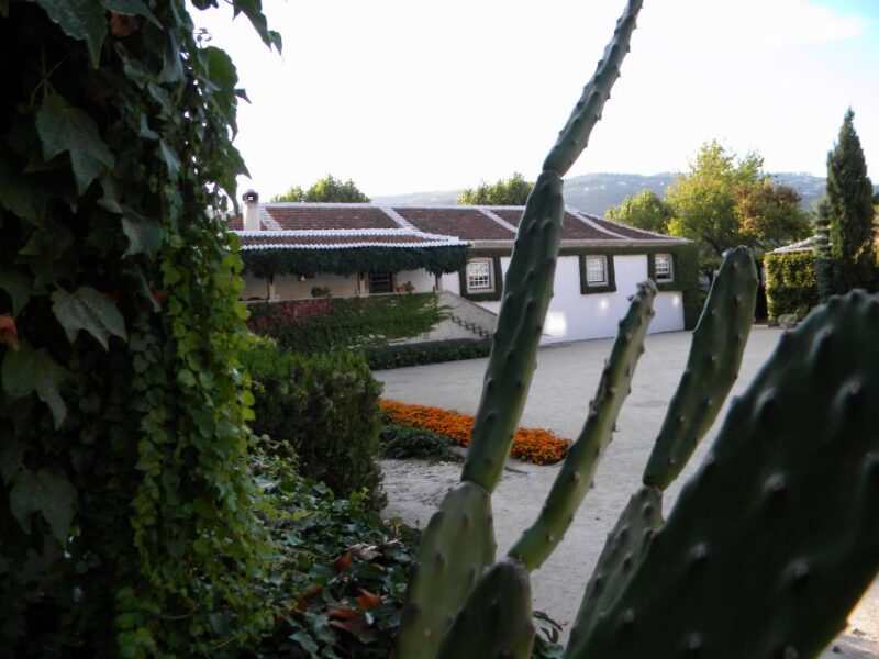 From Porto: Private Douro Valley Tour With Booking Service - Optional Experiences