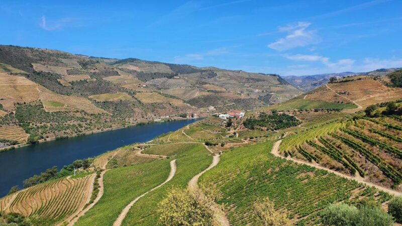 From Porto Private Wine Tour Tasting, Train and Vinho Verde - Key Points
