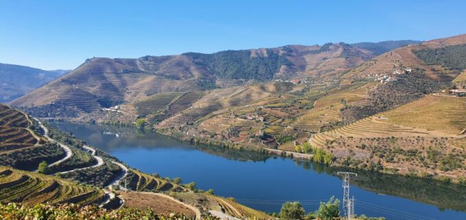 From Porto Private Wine Tour With 2 Tastings, Boat and Lunch - Additional Tour Information