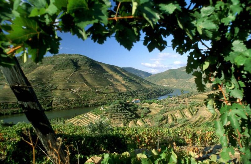 From Porto: Régua to Porto River Cruise With Lunch on Board - Itinerary and Experience
