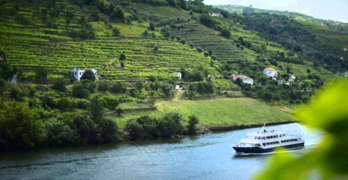 From Porto: Régua to Porto River Cruise With Lunch on Board - Important Information and Reviews