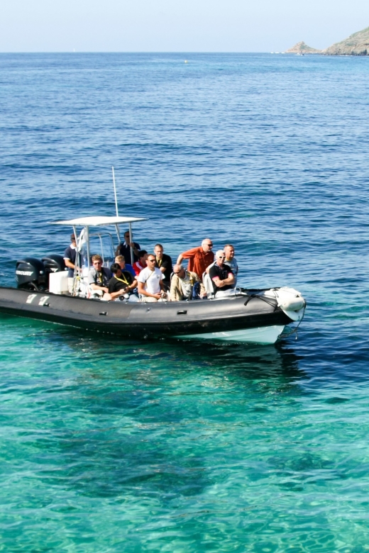 From Porto: Scandola and Calanche De Piana Boat Tour - Discovering the Rich Marine Life and Seabirds