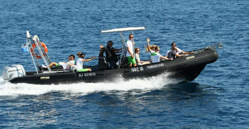 From Porto: Scandola and Calanche De Piana Boat Tour - Observing the Endemic Fauna