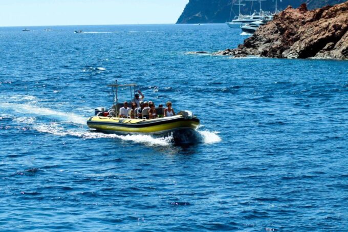 From Porto: Scandola and Calanche De Piana Boat Tour - Traveler Feedback and Ratings