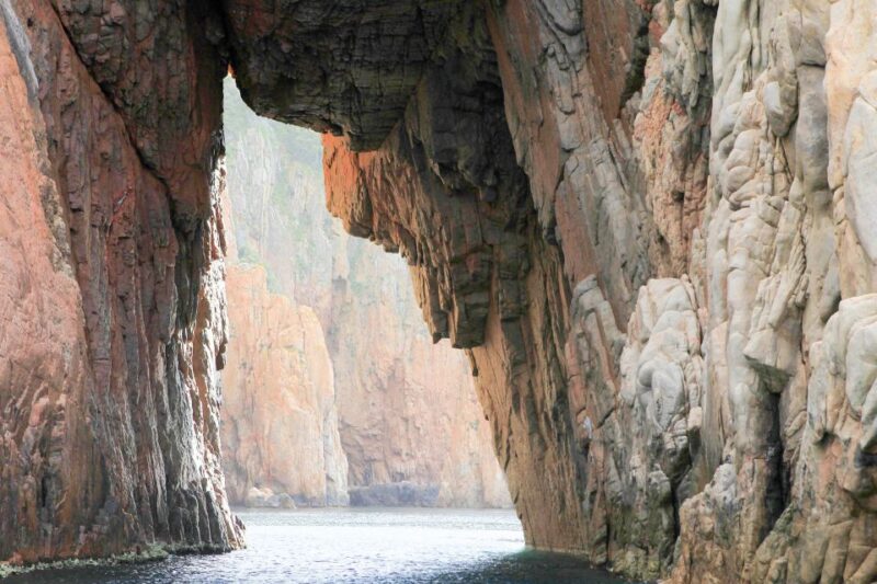 From Porto: Scandola and Calanche De Piana Boat Tour - Exploring Scandola Nature Reserve