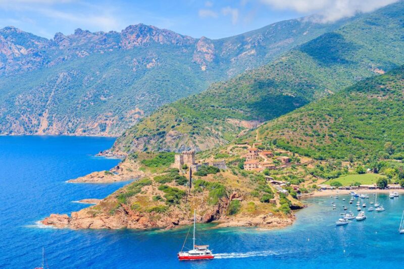 From Porto: Scandola & Girolata Tour by Boat - Endemic Fauna Sightings