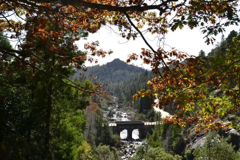 From Porto: Small Group Day Tour of Geres National Park - Customer Reviews