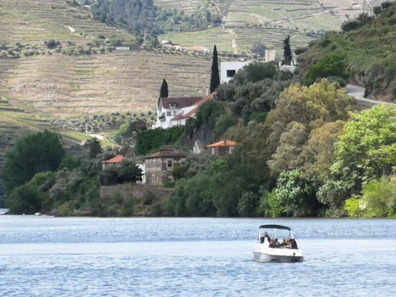 From Porto: Tastings at 2 Wineries, Chefs Lunch & Boat Tour - Customer Feedback