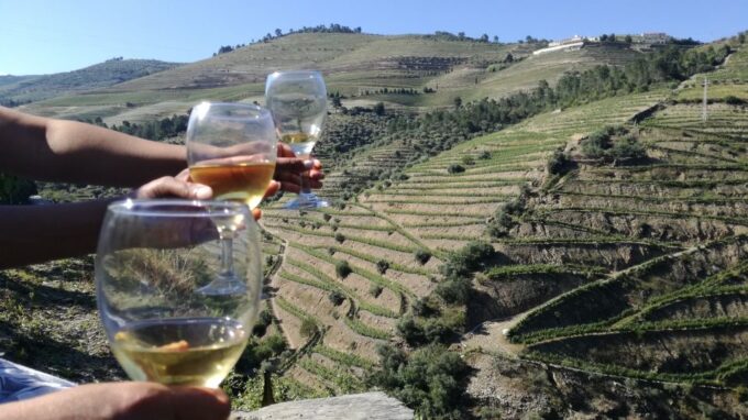 From Porto: Tastings at 2 Wineries, Chefs Lunch & Boat Tour - Wineries